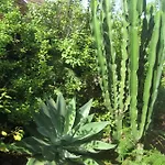 別荘 Finca Los Corrales