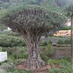 Hébergement de vacances Finca Los Corrales El Tanque