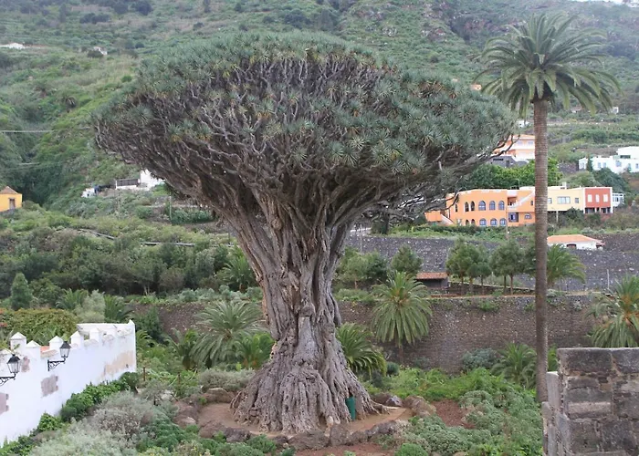 בית נופש Finca Los Corrales El Tanque