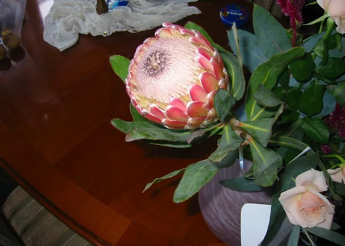 Casa vacanze Finca Los Corrales El Tanque