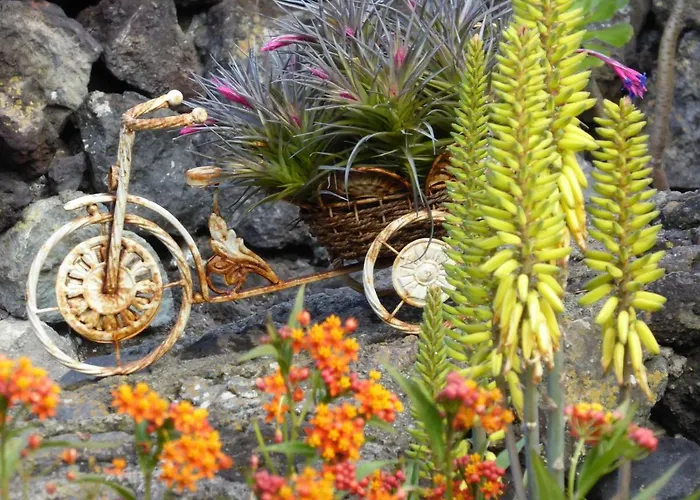 בית נופש Finca Los Corrales El Tanque