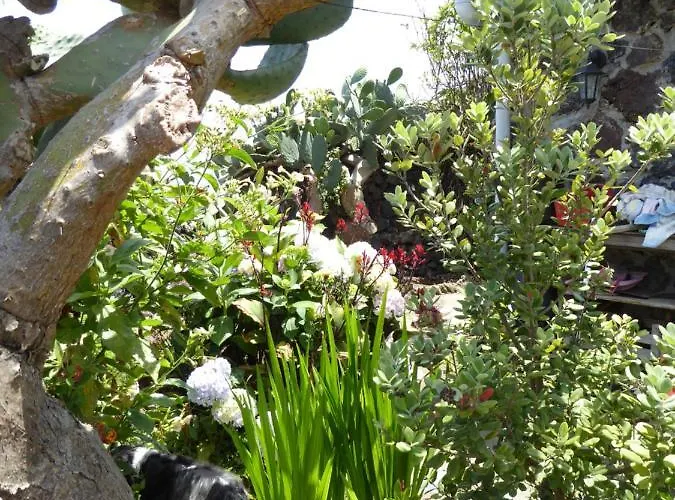 Finca Los Corrales بيت للعطل