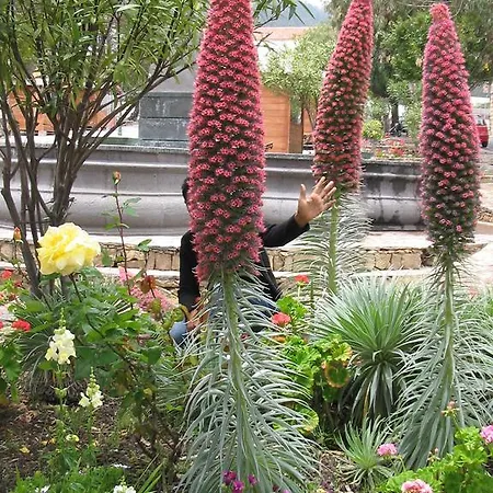 Finca Los Corrales El Tanque