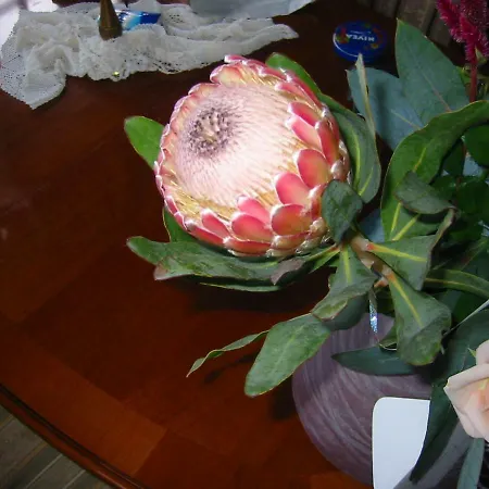 Nyaraló Finca Los Corrales El Tanque