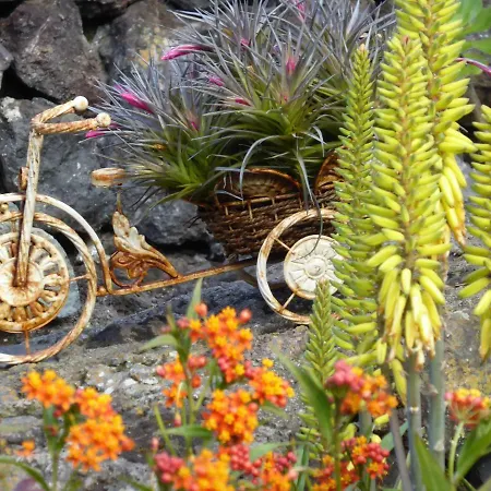 Holiday home Finca Los Corrales El Tanque