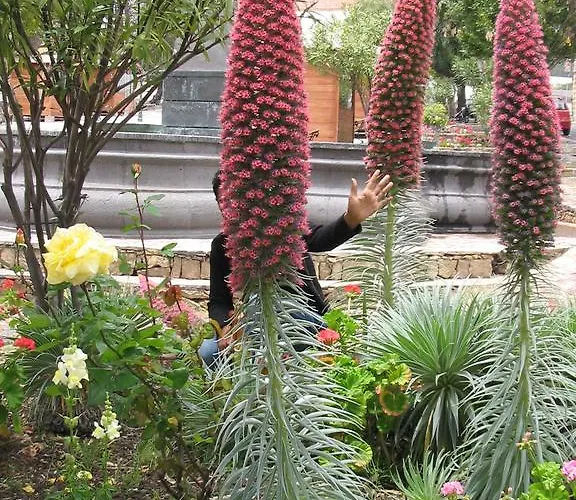 Finca Los Corrales El Tanque