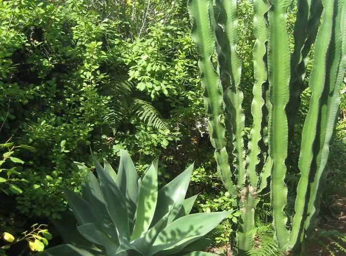 بيت للعطل Finca Los Corrales