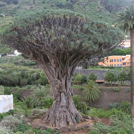 Hébergement de vacances Finca Los Corrales El Tanque