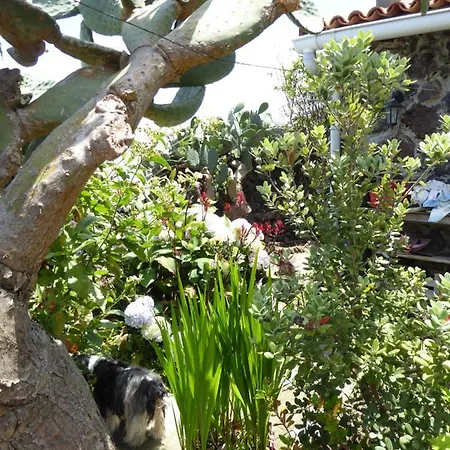 Finca Los Corrales Hébergement de vacances